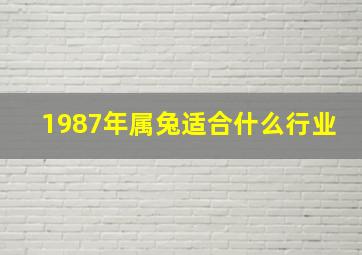 1987年属兔适合什么行业