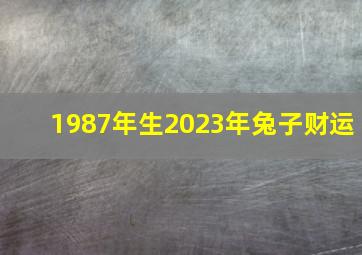 1987年生2023年兔子财运