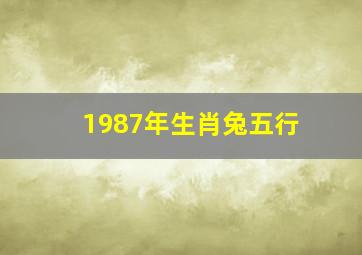 1987年生肖兔五行