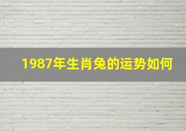 1987年生肖兔的运势如何