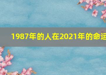 1987年的人在2021年的命运