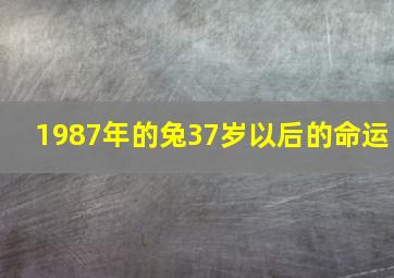 1987年的兔37岁以后的命运