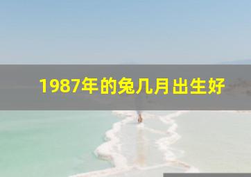 1987年的兔几月出生好