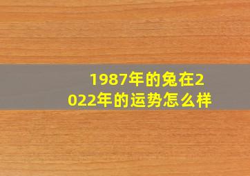 1987年的兔在2022年的运势怎么样