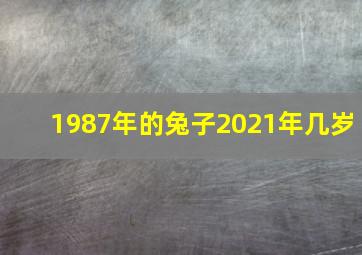 1987年的兔子2021年几岁