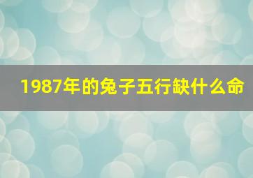 1987年的兔子五行缺什么命