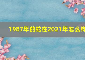 1987年的蛇在2021年怎么样