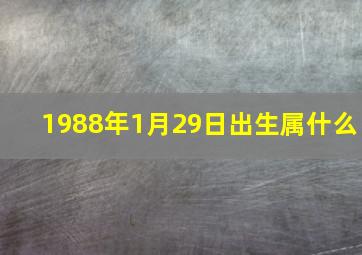 1988年1月29日出生属什么