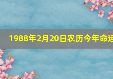 1988年2月20日农历今年命运