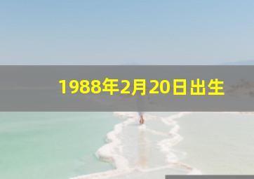 1988年2月20日出生