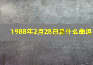 1988年2月28日是什么命运