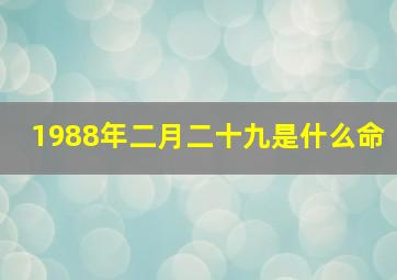 1988年二月二十九是什么命