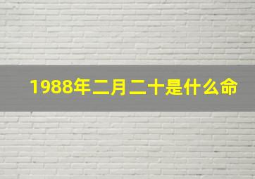 1988年二月二十是什么命