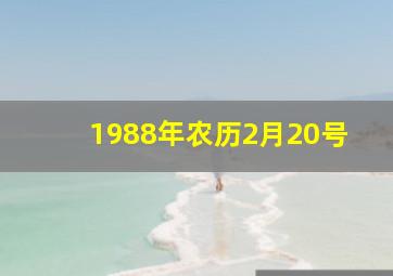 1988年农历2月20号