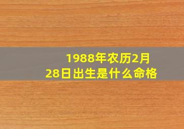 1988年农历2月28日出生是什么命格