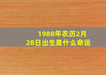 1988年农历2月28日出生是什么命运