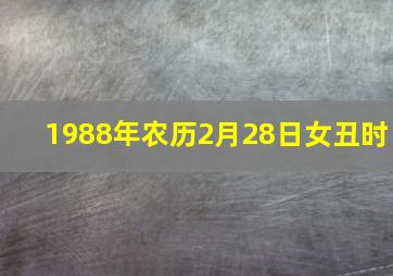 1988年农历2月28日女丑时