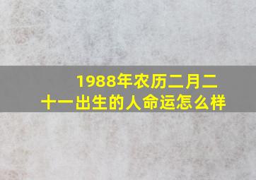 1988年农历二月二十一出生的人命运怎么样