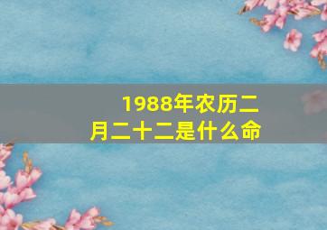 1988年农历二月二十二是什么命