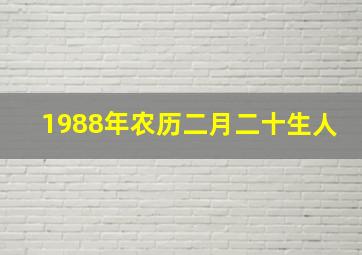 1988年农历二月二十生人