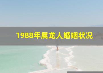 1988年属龙人婚姻状况