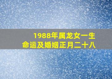 1988年属龙女一生命运及婚姻正月二十八