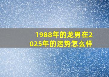 1988年的龙男在2025年的运势怎么样