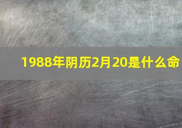 1988年阴历2月20是什么命