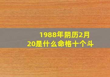 1988年阴历2月20是什么命格十个斗