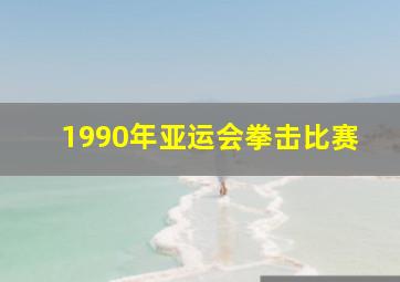 1990年亚运会拳击比赛