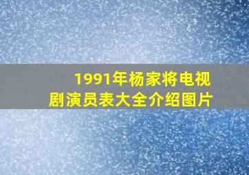 1991年杨家将电视剧演员表大全介绍图片