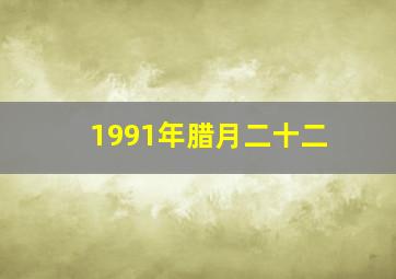 1991年腊月二十二