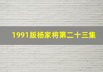 1991版杨家将第二十三集