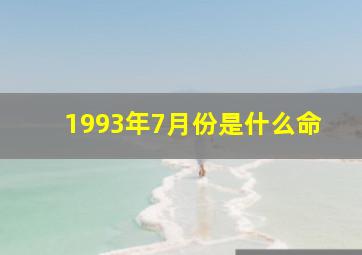 1993年7月份是什么命