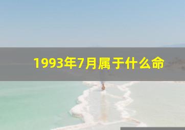 1993年7月属于什么命