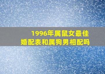 1996年属鼠女最佳婚配表和属狗男相配吗