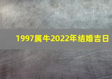 1997属牛2022年结婚吉日