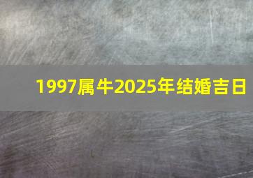 1997属牛2025年结婚吉日