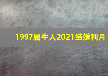 1997属牛人2021结婚利月