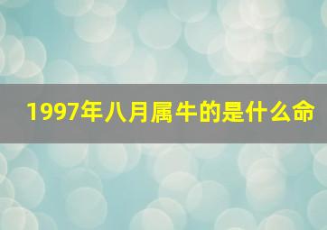 1997年八月属牛的是什么命