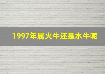 1997年属火牛还是水牛呢