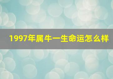 1997年属牛一生命运怎么样