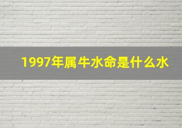 1997年属牛水命是什么水