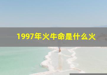 1997年火牛命是什么火