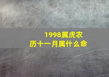 1998属虎农历十一月属什么命