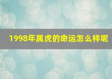 1998年属虎的命运怎么样呢