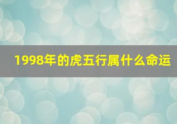 1998年的虎五行属什么命运