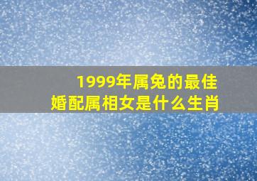 1999年属兔的最佳婚配属相女是什么生肖