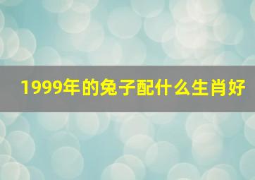 1999年的兔子配什么生肖好