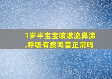 1岁半宝宝咳嗽流鼻涕,呼吸有痰鸣音正常吗